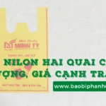 Túi nilon hai quai là gì?